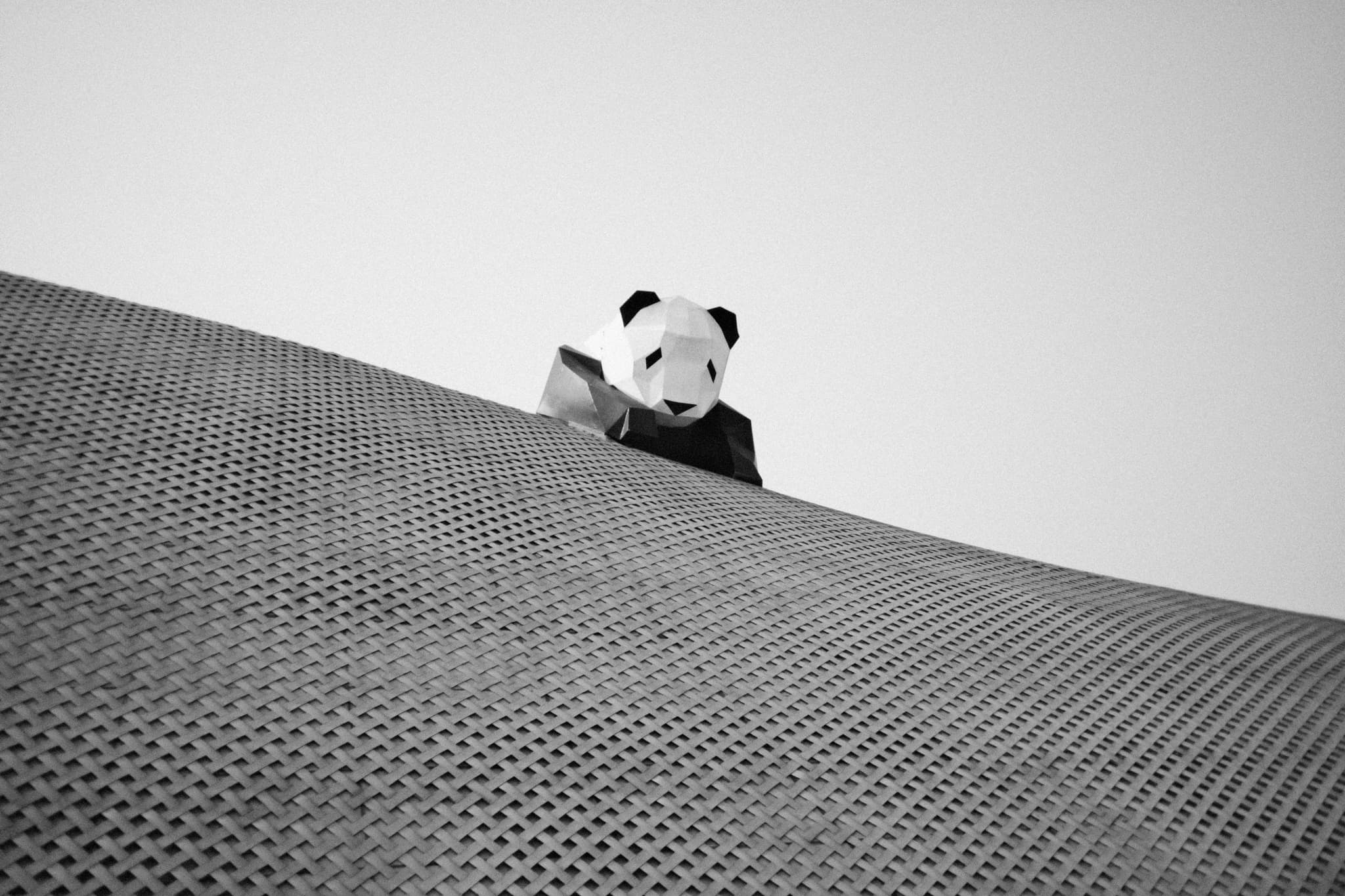 成都熊猫基地